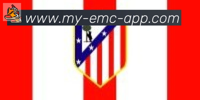 EMC易倍体育合作伙伴